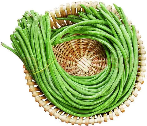 Image of 20pcs Sitaw Seeds / Asian Yard Long String beans