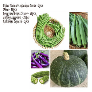 Asian Pinoy Seeds Collections Kalabasa 5pcs, Ampalaya 5pcs, Okra 10pcs, Sitaw 20pcs, Talong 20pcs